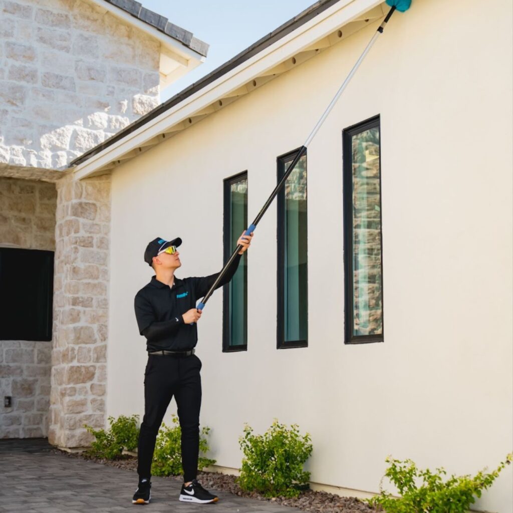 Nectar pest technician dewebbing services